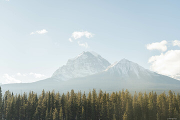 mount hood in the mountains