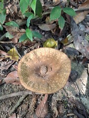 Beautiful nature, meadows, streams, cute wildlife.