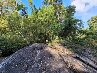 Beautiful nature, meadows, streams, cute wildlife.