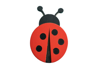 ladybug isolated on transparent or white background