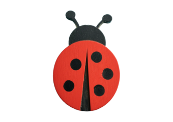 ladybug isolated on transparent or white background
