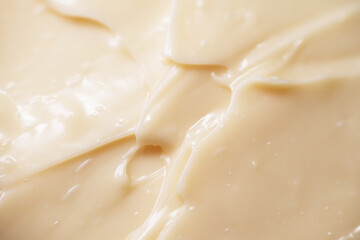 Macro shot of homemade mayonnaise dipping sauce