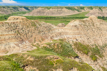 A rocky hillside with a few trees and a clear blue sky