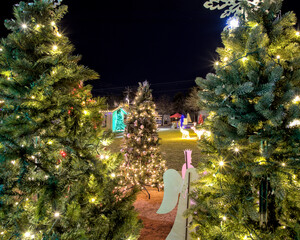 Johnson City, Texas 12-18-2024. Christmas trees illuminated and decorated surround the small town park community's Christmas tree.  A gathering place for everyone to share in the festive atmosphere.