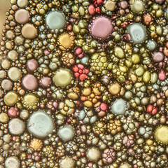 Intricate colorful macro image with circular bubbles