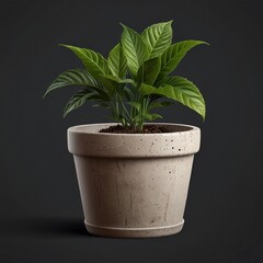 Obraz premium plant in a pot On transparent background PNG file. Can be used for invitations, greeting, wedding card Generative AI.