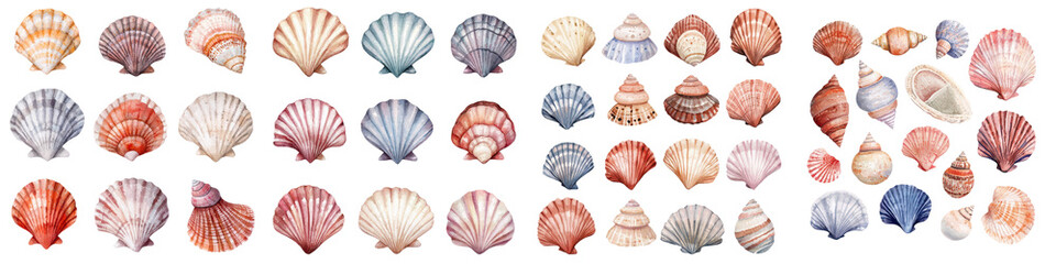 Assortment of Colorful Seashells on White Background
