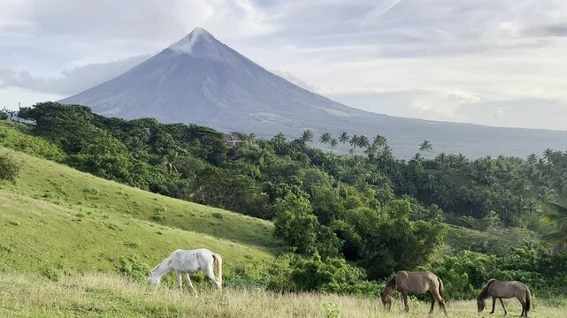 Mayon Volcano video clips with a beautiful sky and clouds with horse in Quituinan Ranch Camalig Legazpi City Albay Philippines