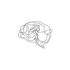 brain