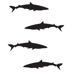 Shark Silhouette, Shark Vector Silhouette, Shark cartoon Silhouette, Shark illustration, Shark icon Silhouette, Shark Silhouette illustration