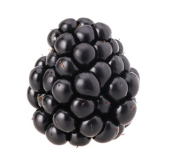 Blackberry isolated, Blackberry macro studio photo, transparent PNG, PNG format, cut out.