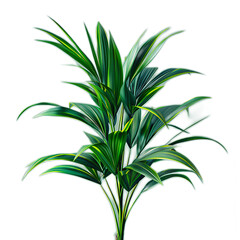 Fototapeta premium Close-up of Isolated Plant on Plain Background, Showcasing Lush Green Leaves with Vibrant Textures and Natural Beauty for Creative Use