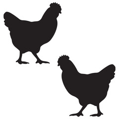 Chicken Silhouette, Chicken Vector Silhouette, Chicken cartoon Silhouette, Chicken illustration, Chicken icon Silhouette, Chicken Silhouette illustration