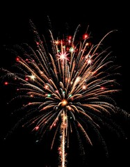 christmas tree concept