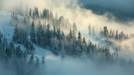 Winter forest shrouded in dense fog, soft sunlight barely peeking through, creating an ethereal, mysterious landscape