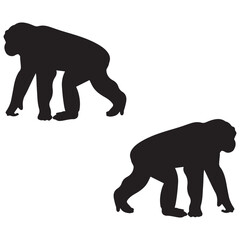 Chimpanzee Silhouette, Chimpanzee Vector Silhouette, Chimpanzee cartoon Silhouette, Chimpanzee illustration, Chimpanzee icon Silhouette, Chimpanzee Silhouette illustration