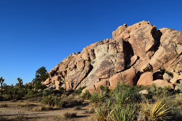 Joshua Tree rocks