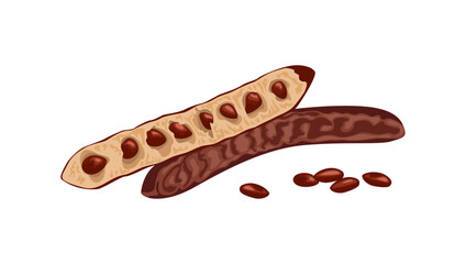 Carob pod bean isolated on white background. Vector cartoon flat illustration. Healthy food icon.