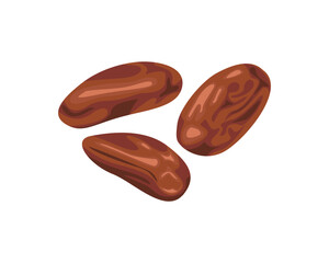 Cocoa beans isolated on white background. Vector cartoon flat illustration.
