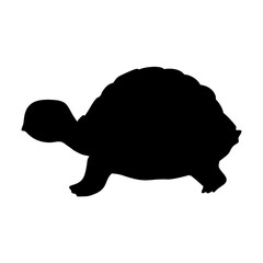 Turtle Silhouette. Turtle Vector Illustration.
