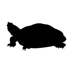 Turtle Silhouette. Turtle Vector Illustration.