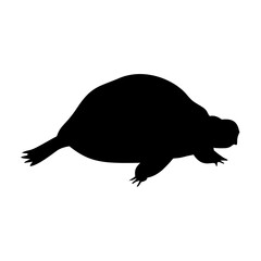 Turtle Silhouette. Turtle Vector Illustration.