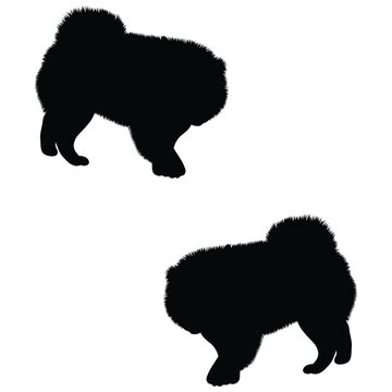 recommend clip art: Chow Chow Silhouette, Chow Chow Vector Silhouette, Chow Chow cartoon Silhouette, Chow Chow illustration, Chow Chow icon Silhouette, Chow Chow Silhouette illustration