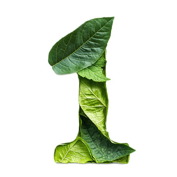 Digital Leaf Forming the Number One in Minimalist Nature-Inspired Design