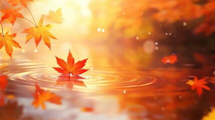 Autumn maple leaves floating on water vibrant orange and yellow foliage
