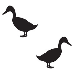 Duck Silhouette, Duck Vector Silhouette, Duck cartoon Silhouette, Duck illustration, Duck icon Silhouette, Duck Silhouette illustration