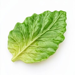Obraz premium Fresh green lettuce leaf isolated on white background