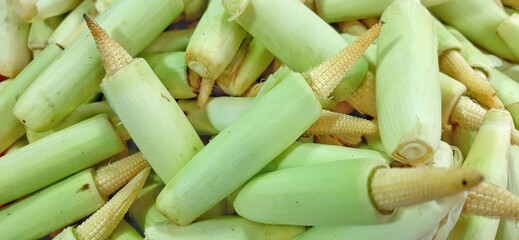 Heap of fresh baby corns or young corns or jagung putern background