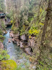 Johnston Canyon 