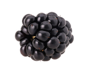 Blackberry isolated, transparent PNG, PNG format, cut out.