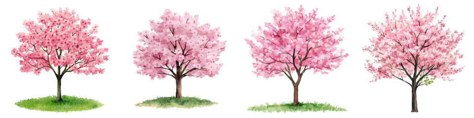 Beautiful Blooming Cherry Blossom Trees in Spring Scenic Landscape with Vibrant Pink Flowers