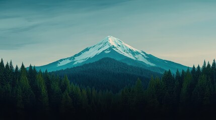 Naklejka premium Majestic mount hood view oregon landscape forest aerial perspective