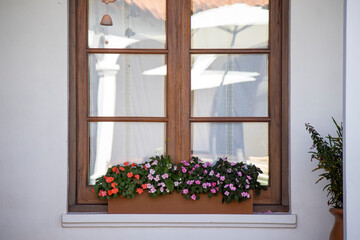 window with flowers