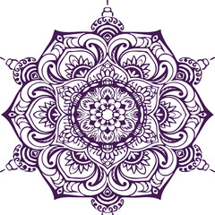 Beautiful flower art and mandala vector design
