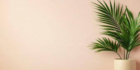 Obraz premium Elegant potted plant against soft pink wall showcasing natural decor elements