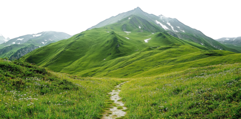 a winding stone path leads through a lush green valley towards a distant mountain peak covered in snow the valley is bathed in the soft light of a cloudy day