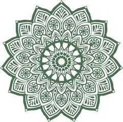 Beautiful flower art and mandala vector design