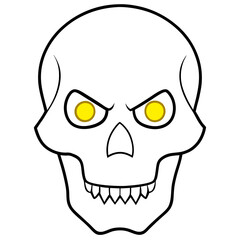 human skull