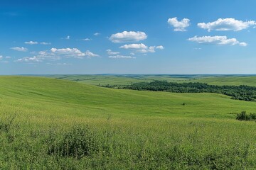 Fototapeta premium Expansive green field, rolling hills, vibrant grass, blue sky, fluffy white clouds, distant treeline