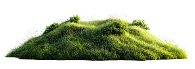 Green Grass Hill Isolated on White Background, Lush Meadow, Wild Grass, Nature Scene, 3D Render,  Environmental Element,  Realistic Grass, Grassy Knoll,  Vegetation, Isolated Grass