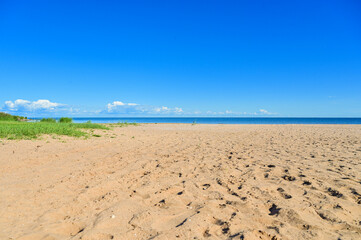 Summer view over the sandy beach to Lake Peipus (Peipsi-Pihkva järv) under a blue sky in summer near Kallaste, Tartu, Estonia