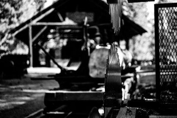 Shadowed Serenity: An Enigmatic Monochromatic Portrayal of a Resplendent Dwelling