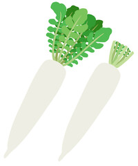 イラスト素材：ダイコン　葉付きダイコンと葉がないダイコンのセット1