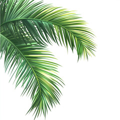 Naklejka premium palm tree isolated on white background