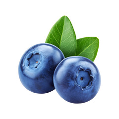 Two fresh blueberry fruit on transparent background