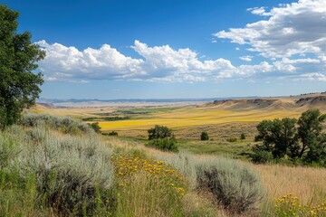 Rural landscape rolling hills, patchwork fields vibrant green and yellow crops blue sky with fluffy...